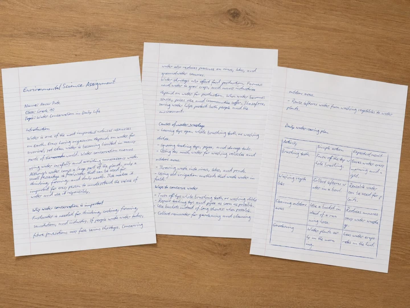 Printed result of a handwritten environmental science assignment
