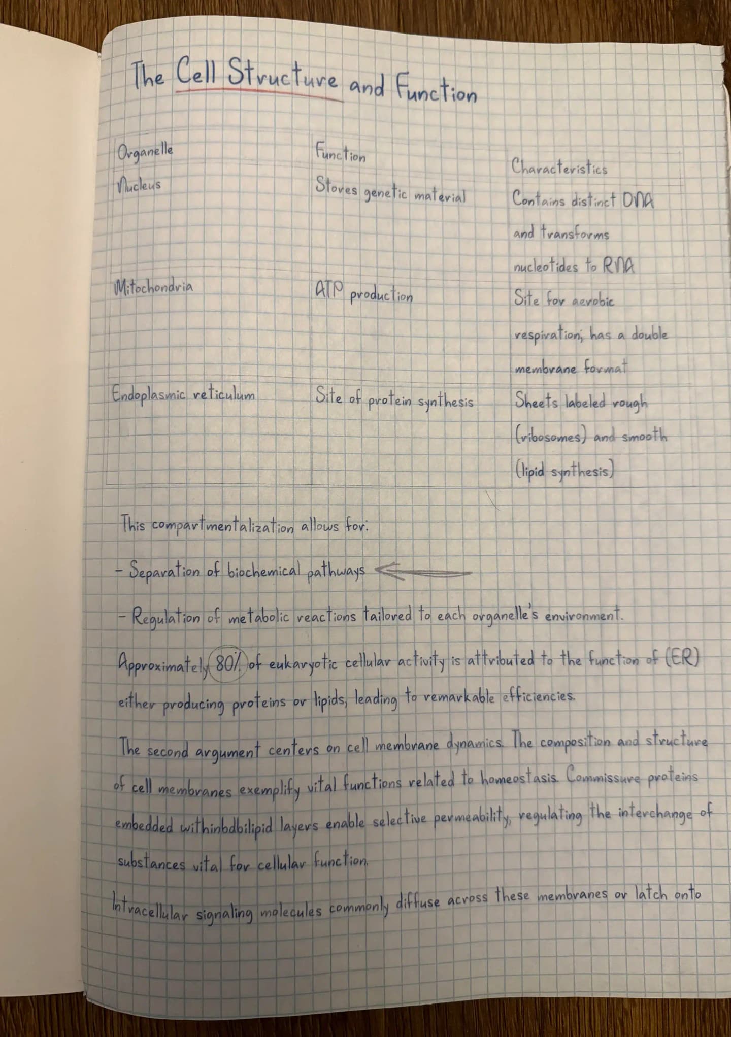 Photo-style notebook page with handwritten-looking study notes